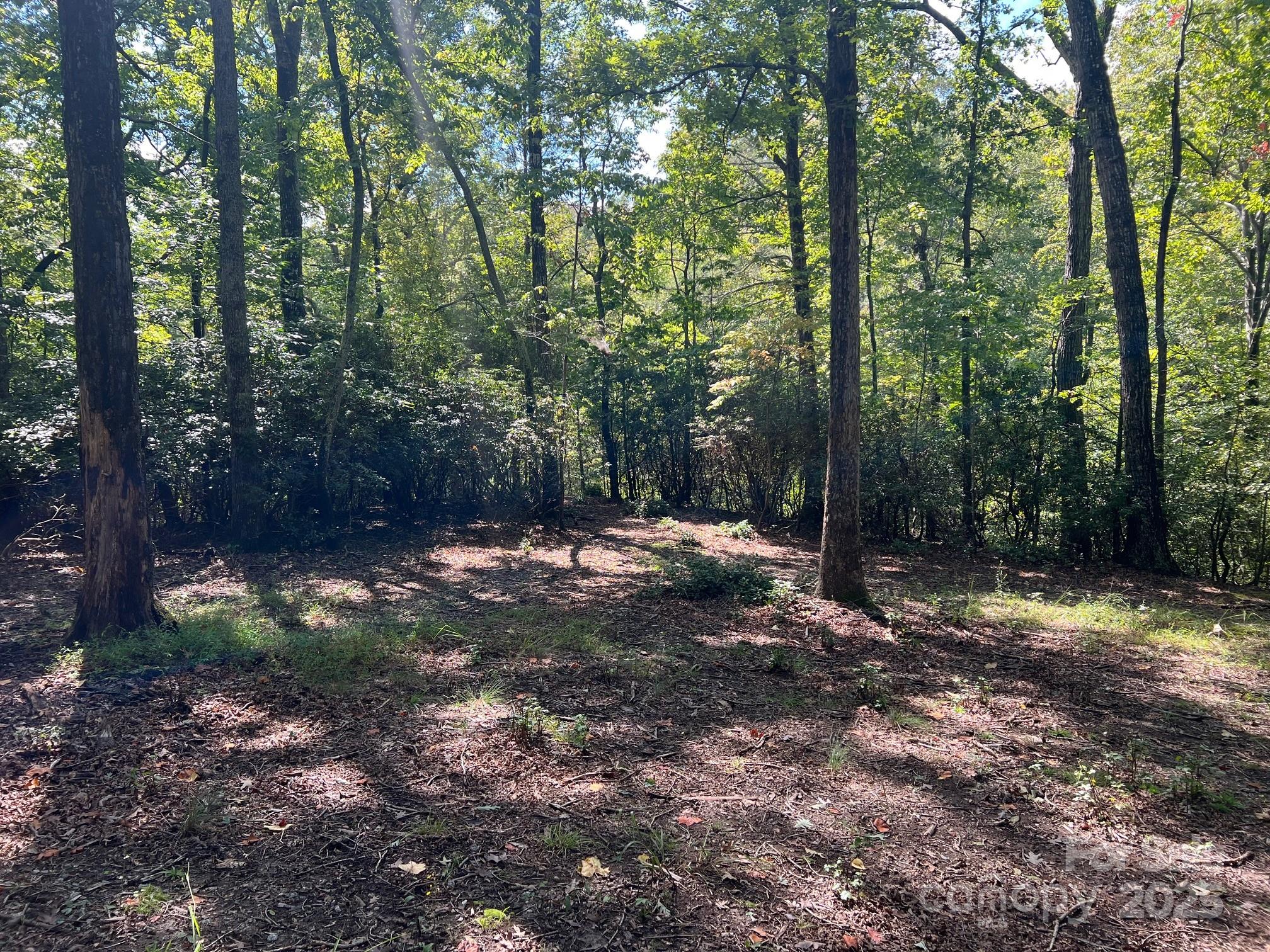 Tbd Blue Horse Lane Columbus NC 28722
