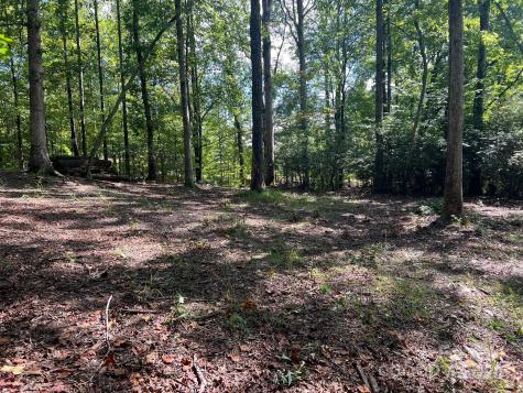 Tbd Blue Horse Lane Columbus NC 28722