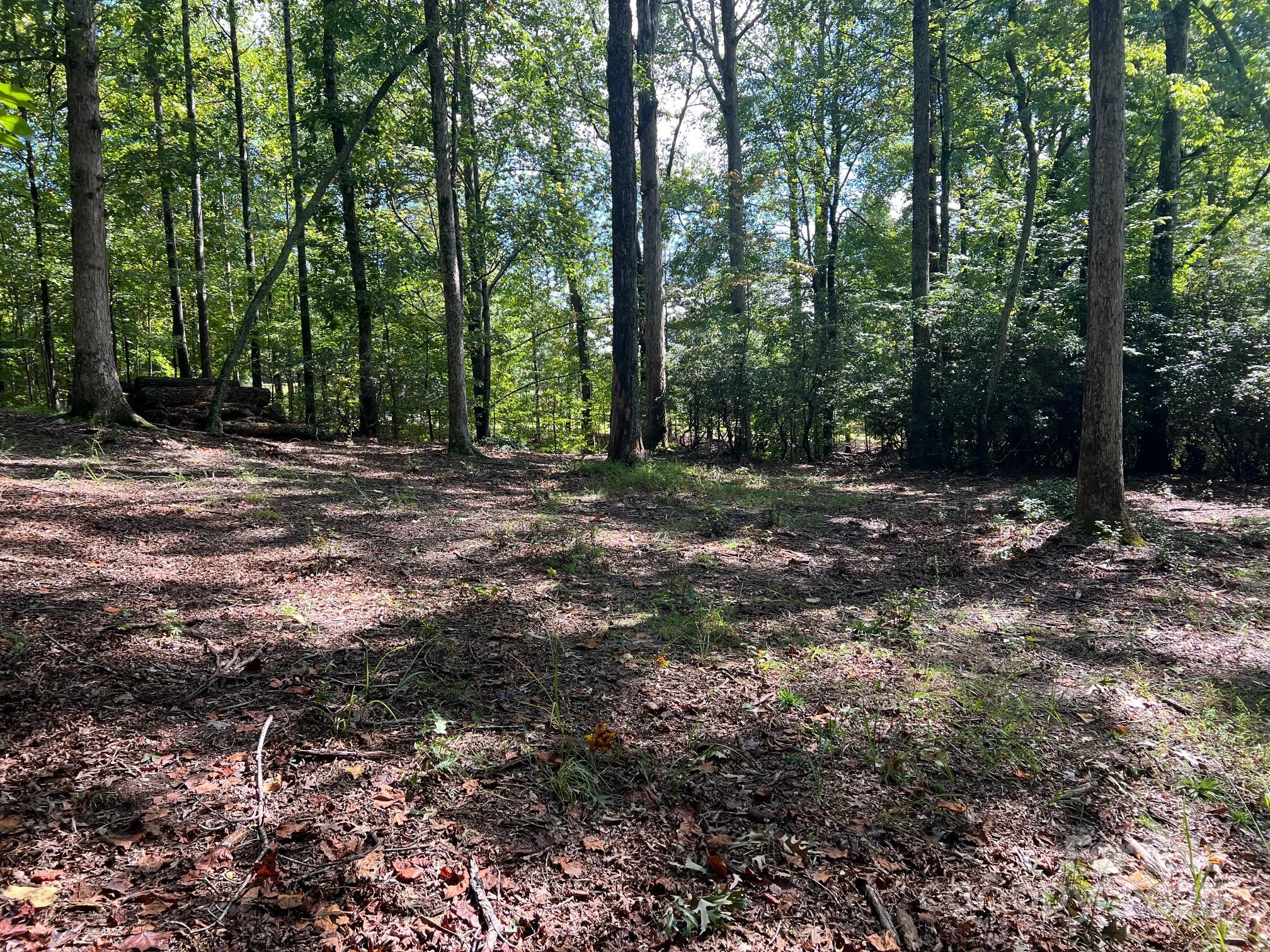 Tbd Blue Horse Lane Columbus NC 28722