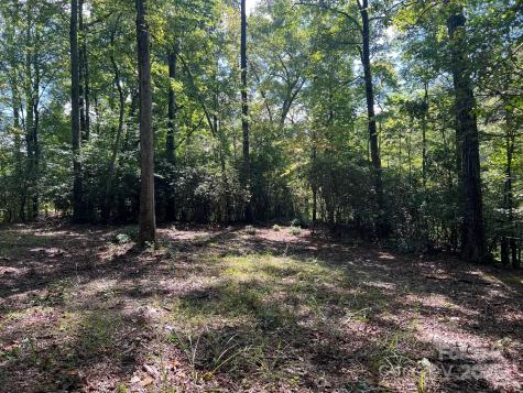 Tbd Blue Horse Lane Columbus NC 28722