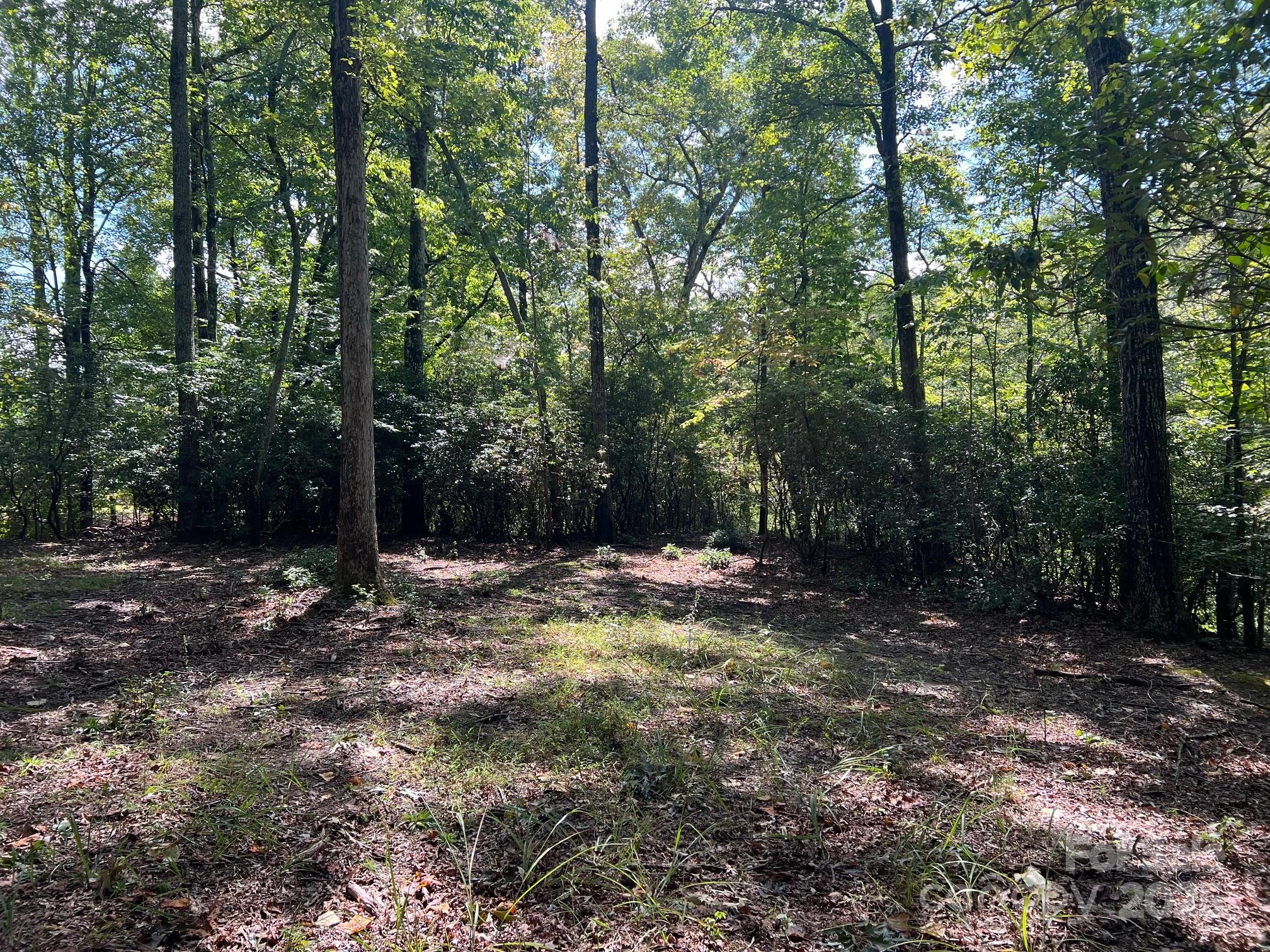 Tbd Blue Horse Lane Columbus NC 28722