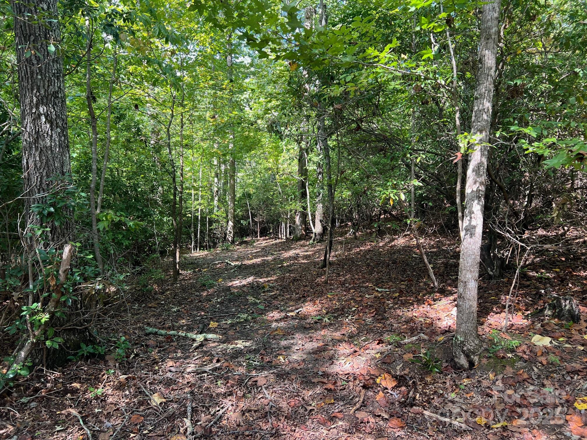 Tbd Blue Horse Lane Columbus NC 28722