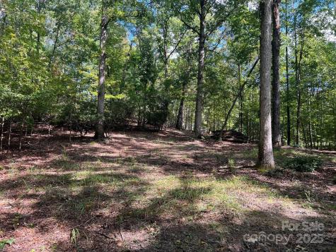 Tbd Blue Horse Lane Columbus NC 28722