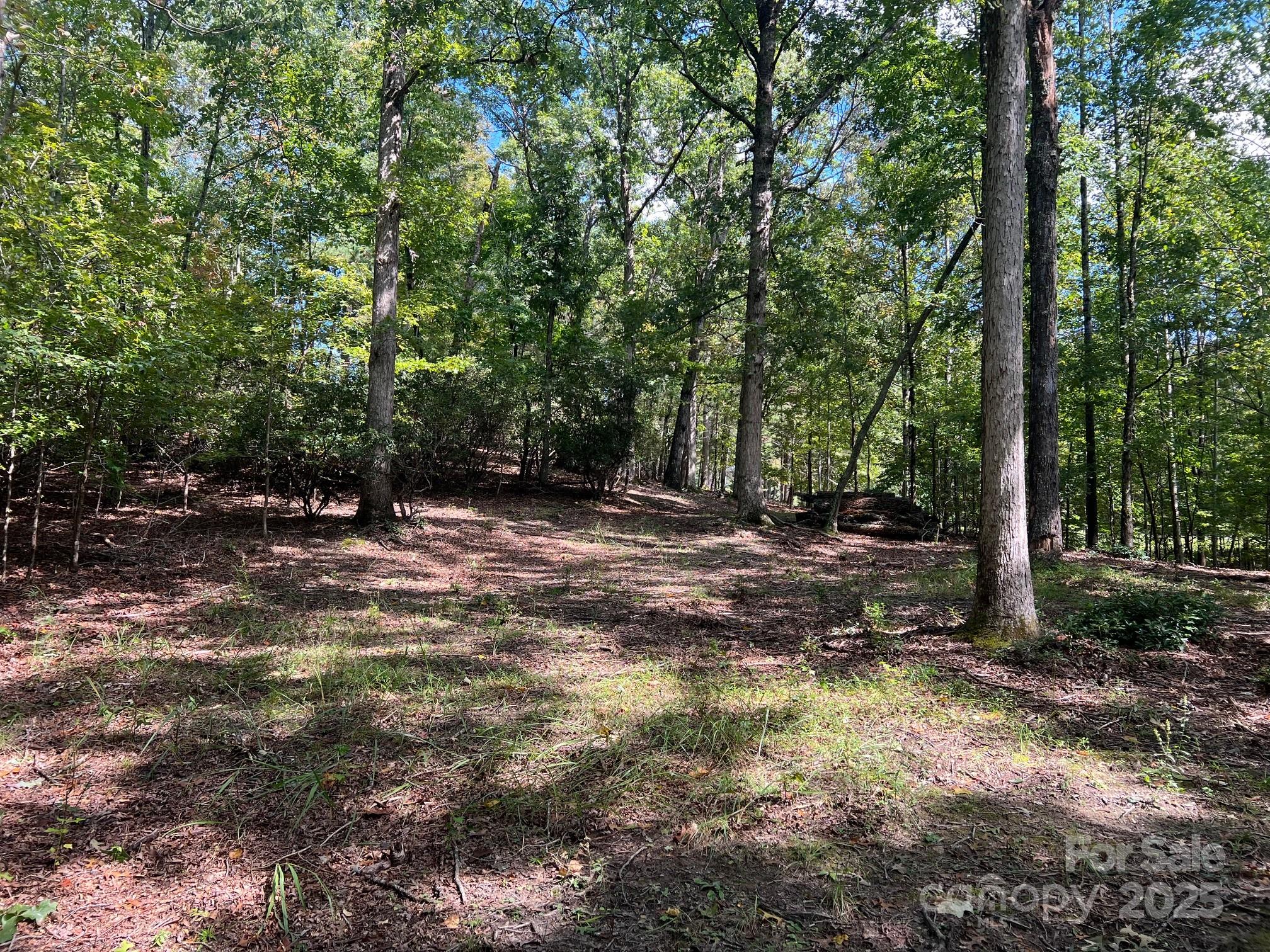 Tbd Blue Horse Lane Columbus NC 28722
