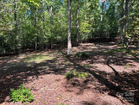 Tbd Blue Horse Lane Columbus NC 28722