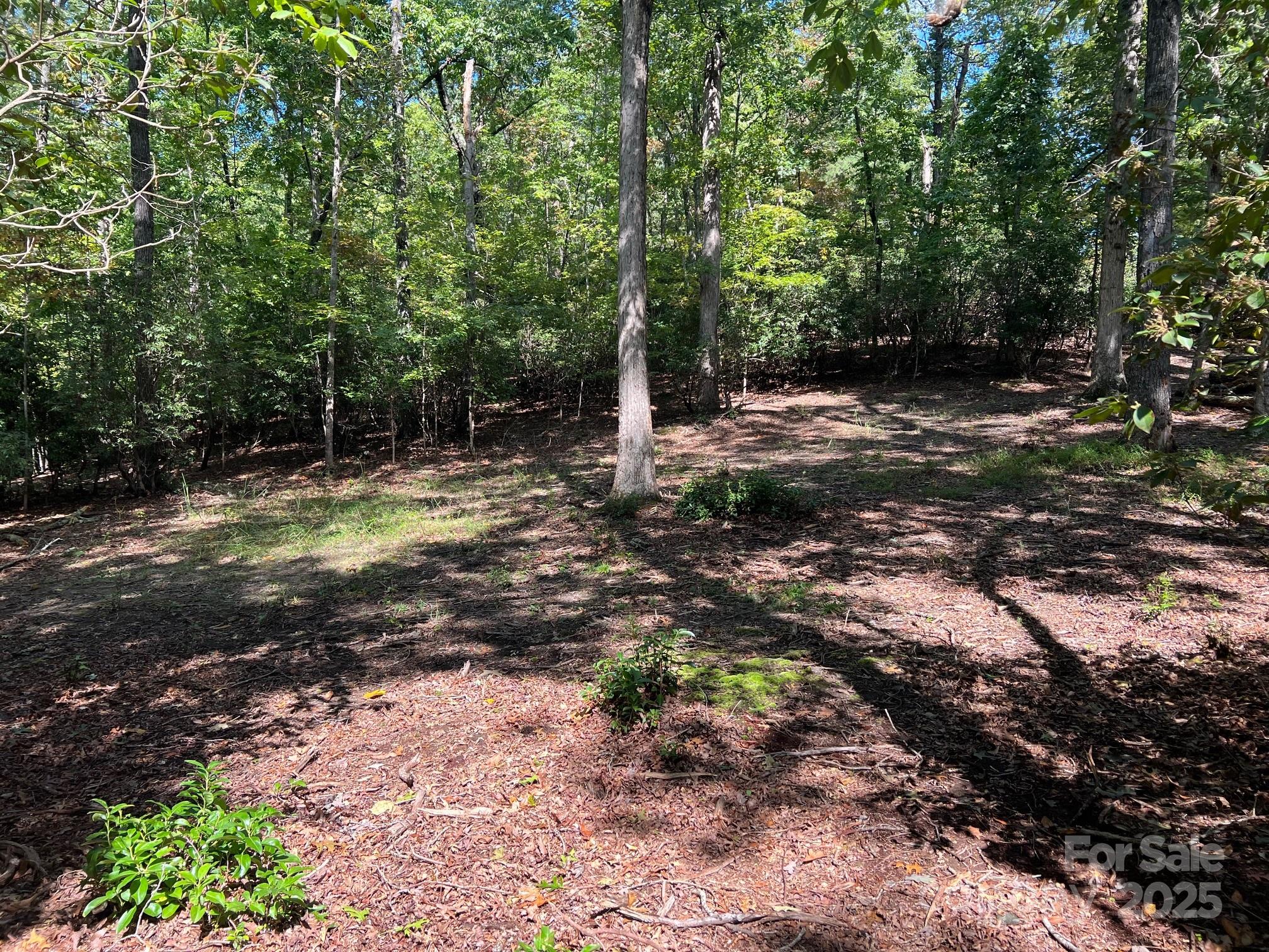 Tbd Blue Horse Lane Columbus NC 28722