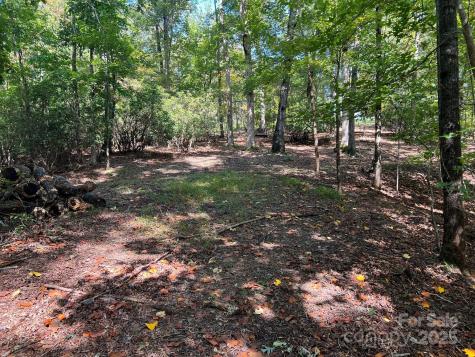 Tbd Blue Horse Lane Columbus NC 28722