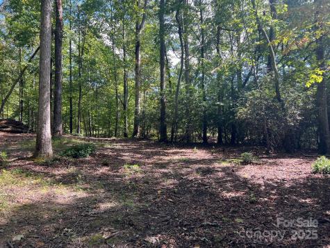 Tbd Blue Horse Lane Columbus NC 28722