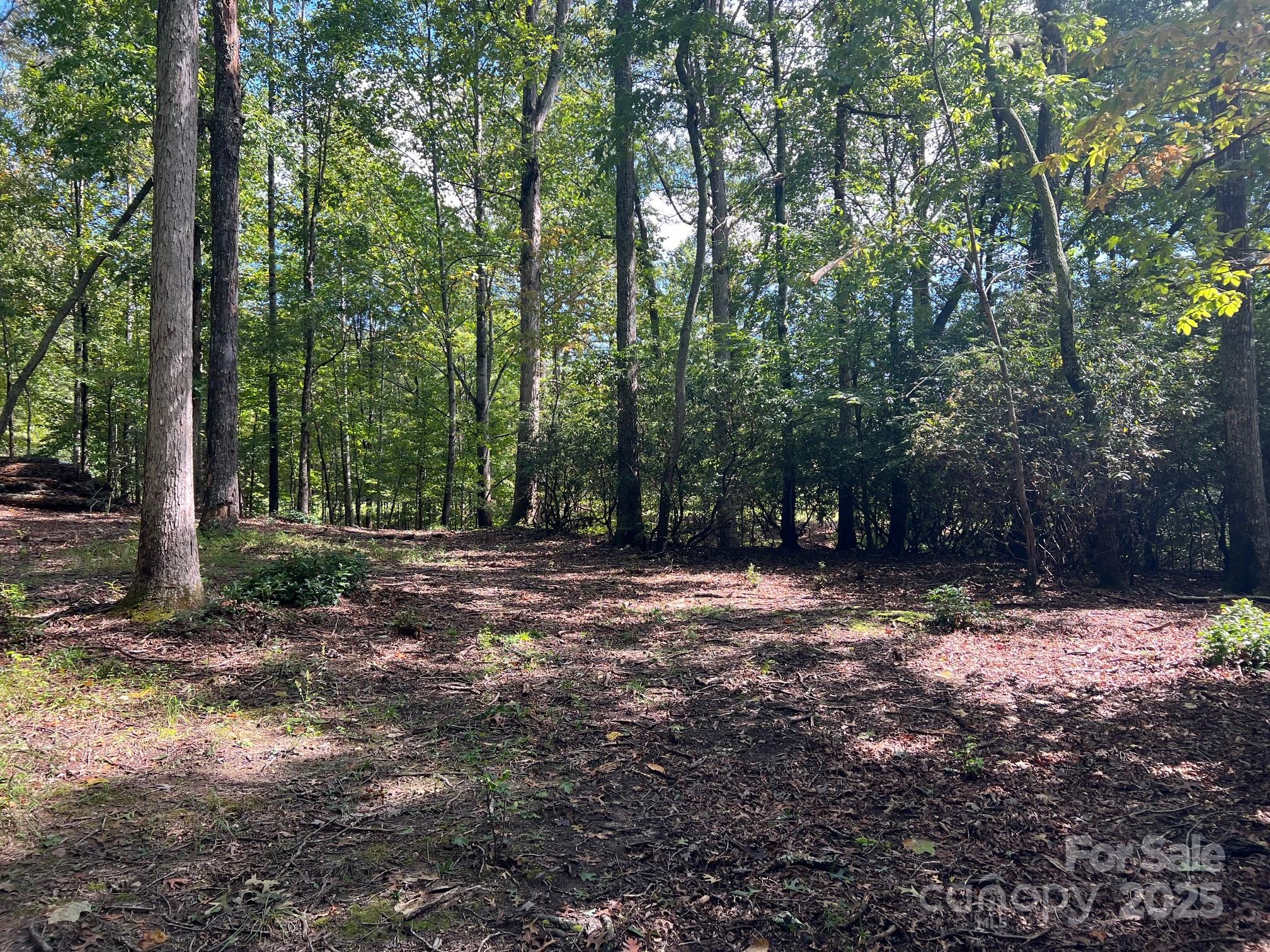 Tbd Blue Horse Lane Columbus NC 28722