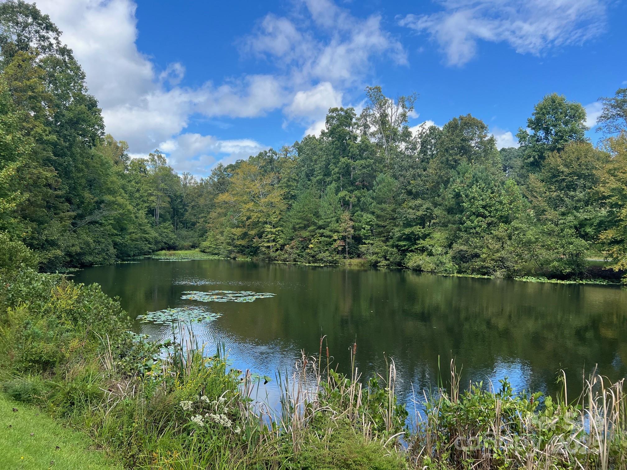 Tbd Blue Horse Lane Columbus NC 28722