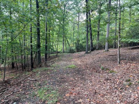 Tbd Blue Horse Lane Columbus NC 28722