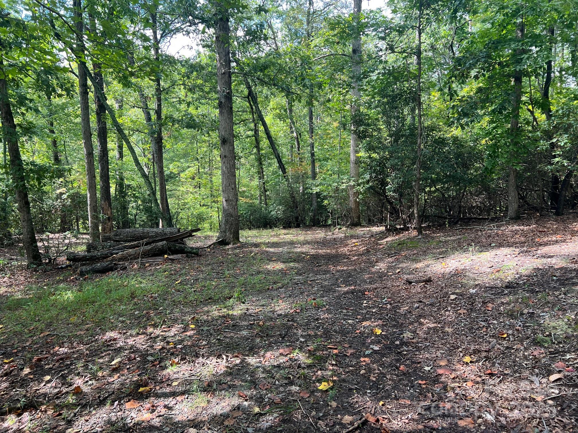 Tbd Blue Horse Lane Columbus NC 28722