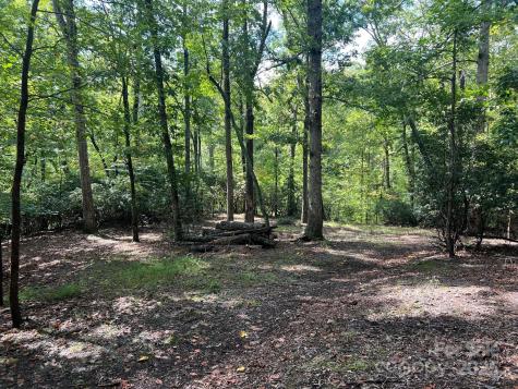 Tbd Blue Horse Lane Columbus NC 28722