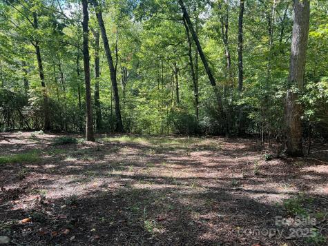 Tbd Blue Horse Lane Columbus NC 28722