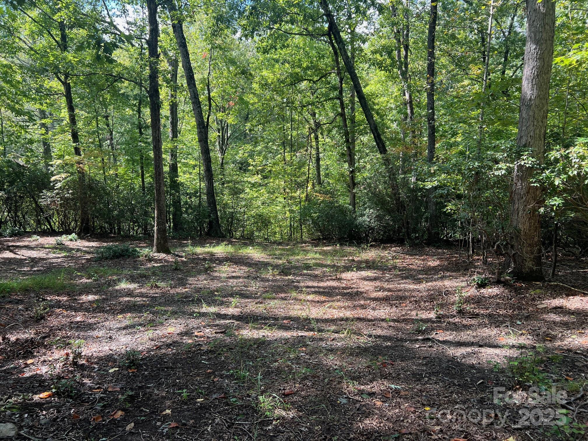 Tbd Blue Horse Lane Columbus NC 28722