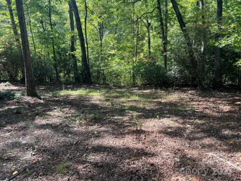 Tbd Blue Horse Lane Columbus NC 28722