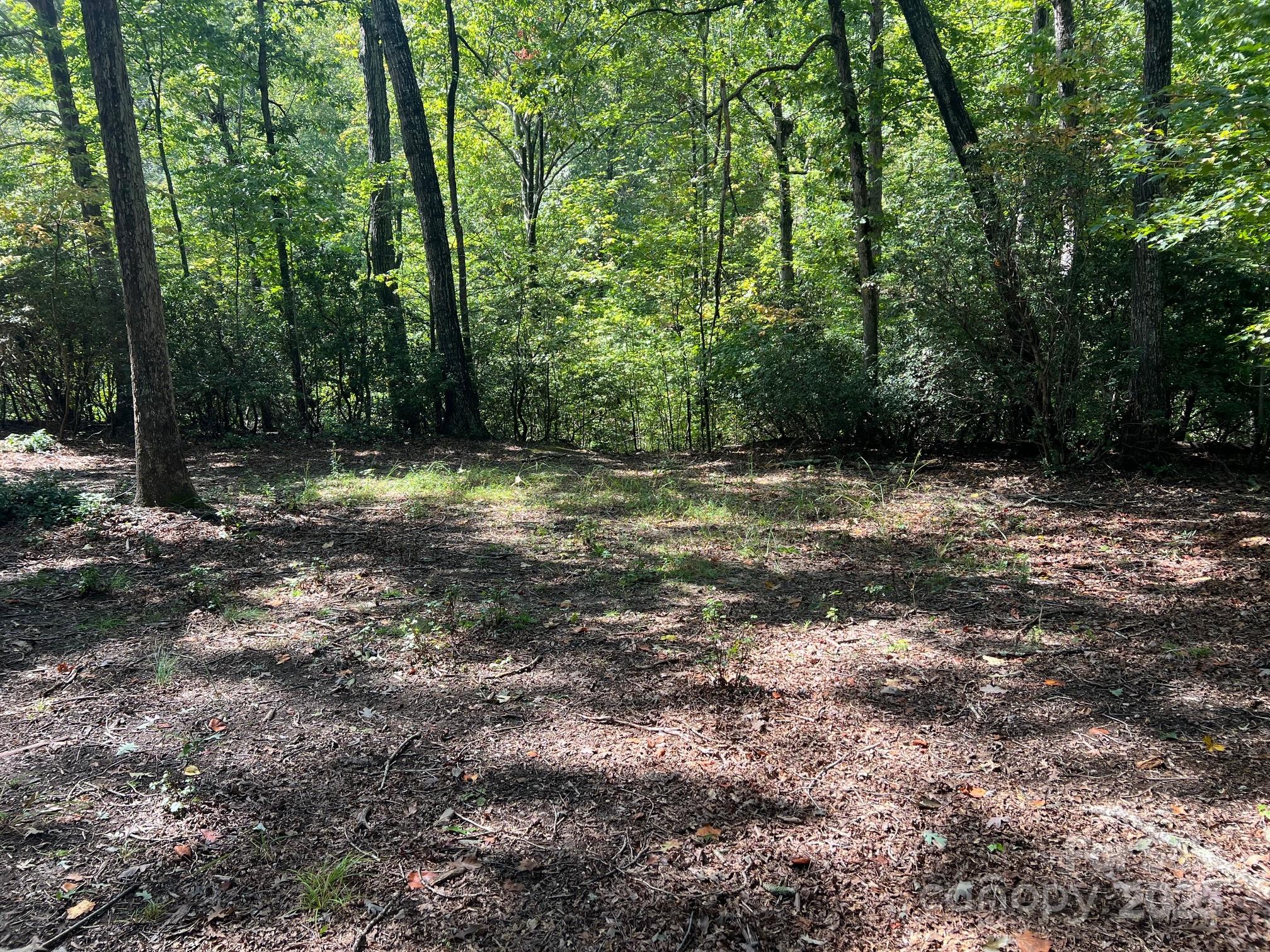 Tbd Blue Horse Lane Columbus NC 28722