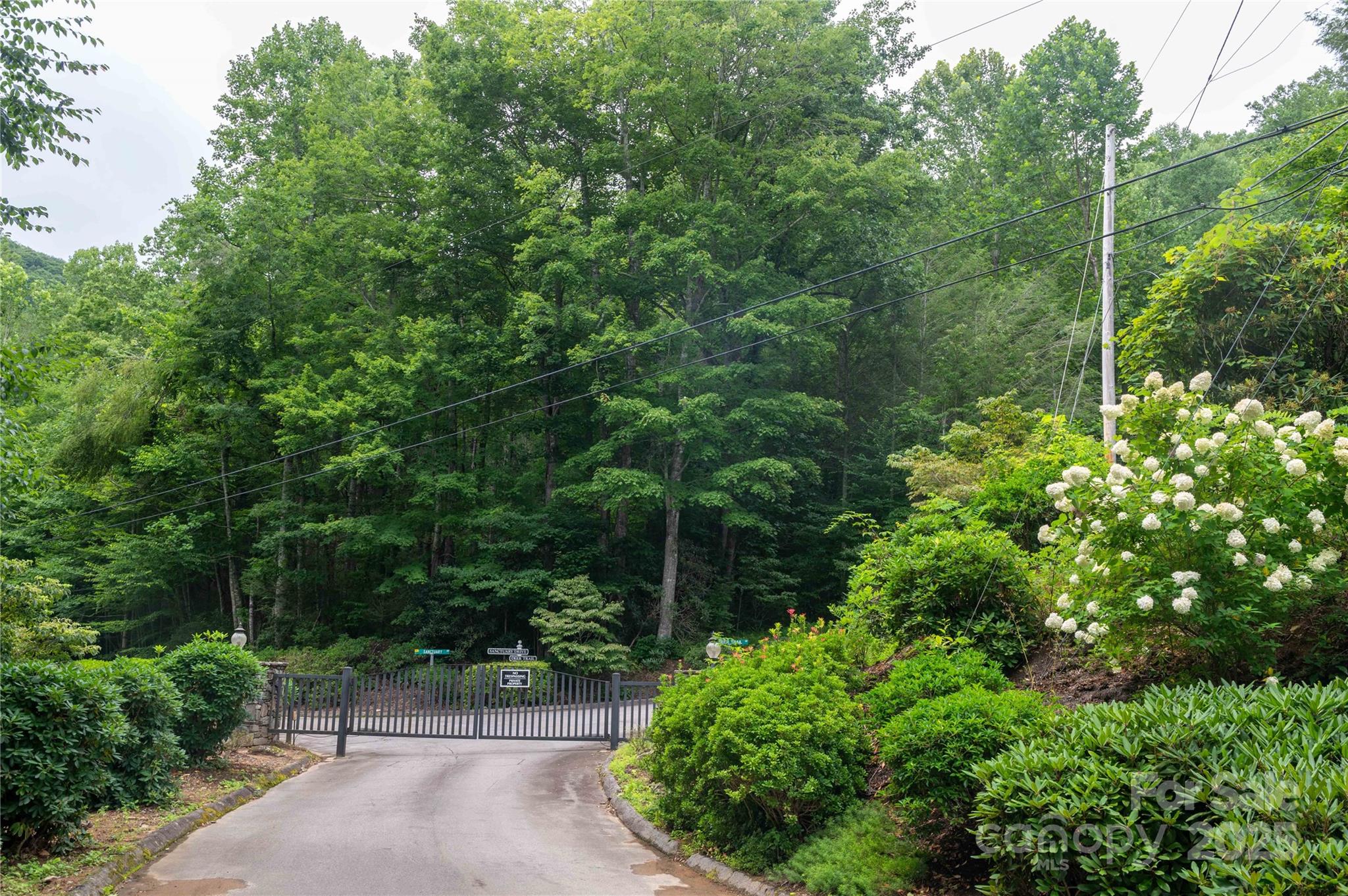 44 Deer Trail Drive Burnsville NC 28714