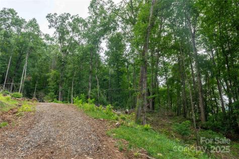 44 Deer Trail Drive Burnsville NC 28714