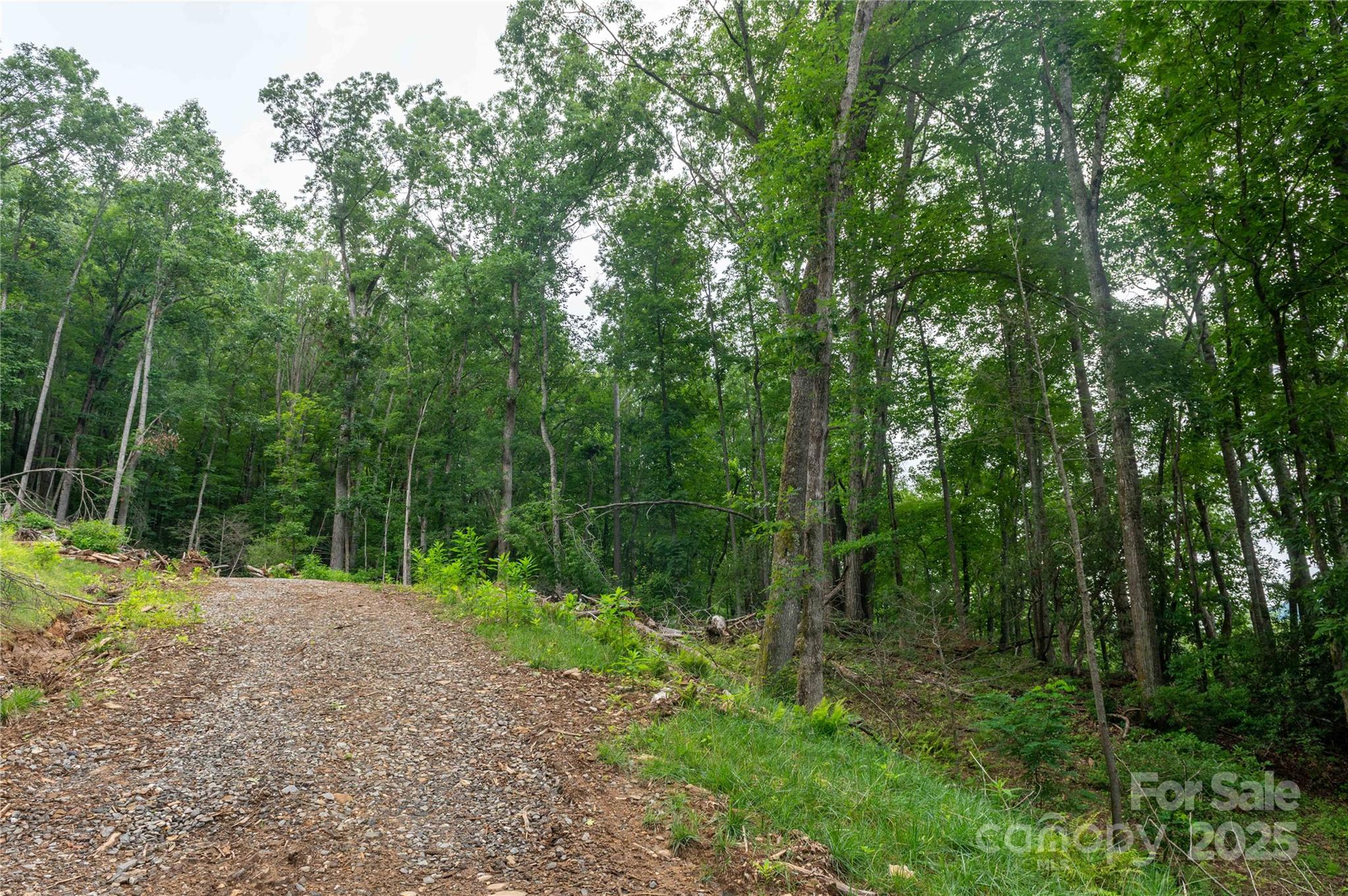 44 Deer Trail Drive Burnsville NC 28714