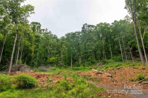 44 Deer Trail Drive Burnsville NC 28714