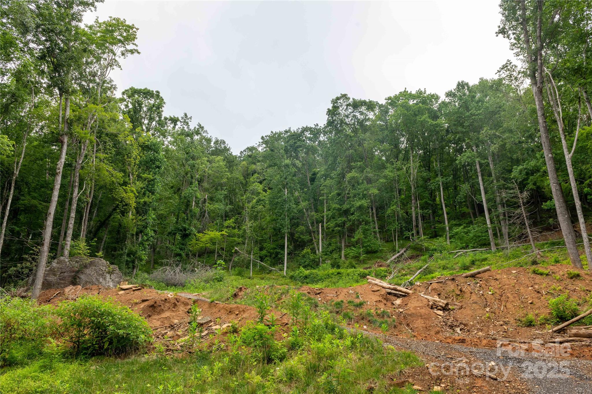 44 Deer Trail Drive Burnsville NC 28714