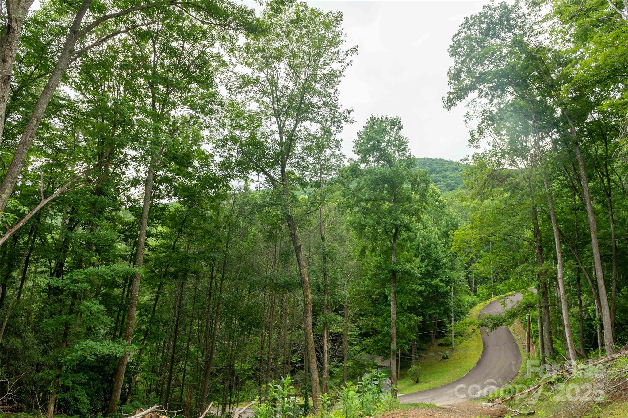 44 Deer Trail Drive Burnsville NC 28714