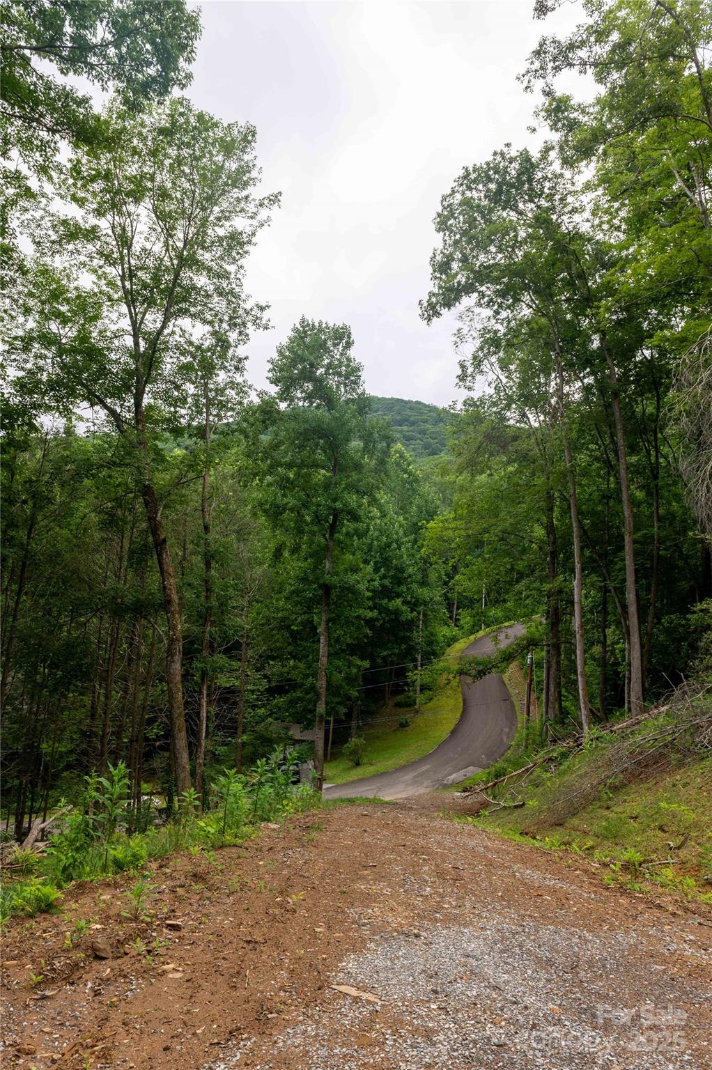 44 Deer Trail Drive Burnsville NC 28714