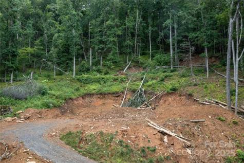 44 Deer Trail Drive Burnsville NC 28714