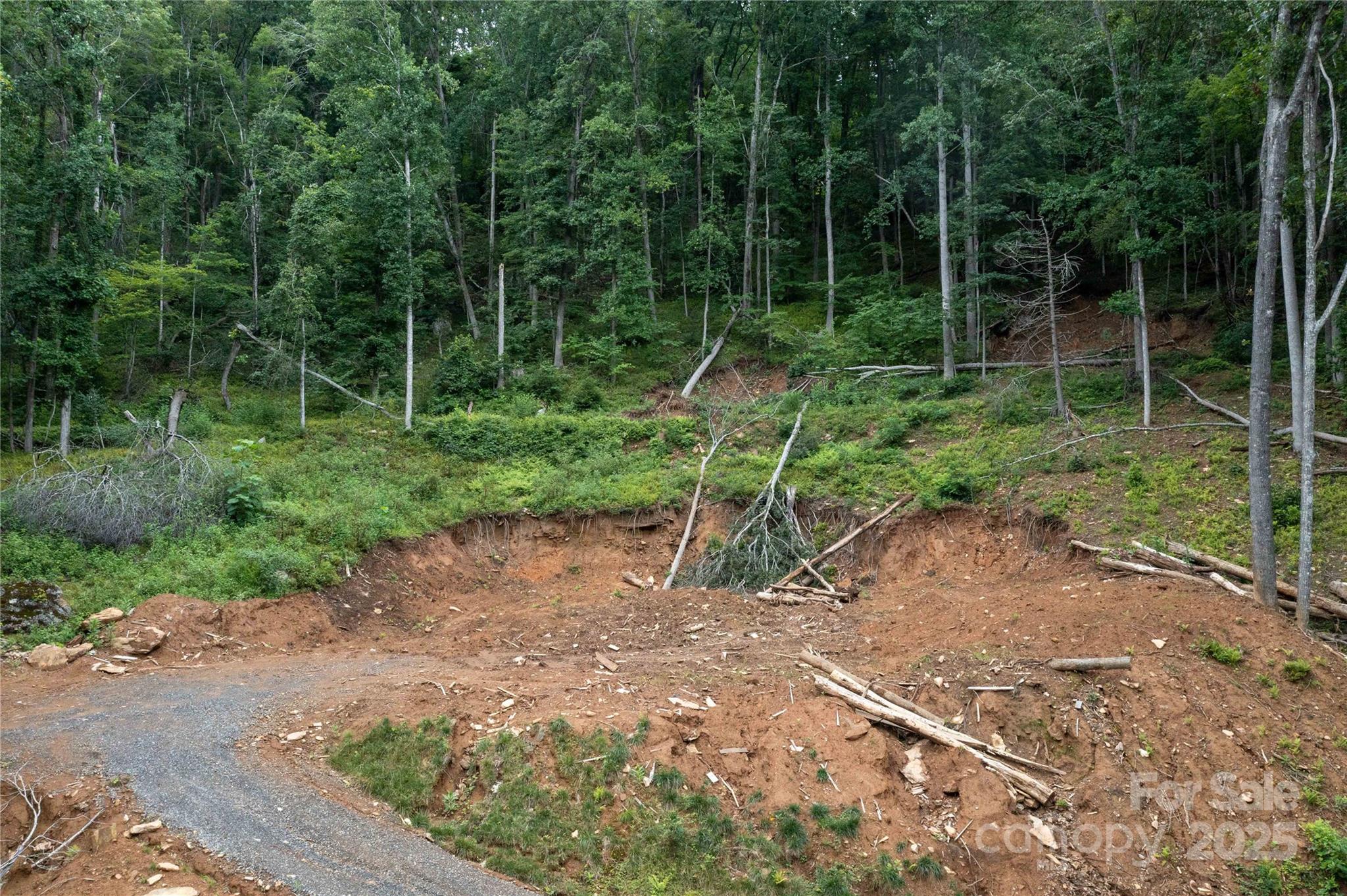 44 Deer Trail Drive Burnsville NC 28714