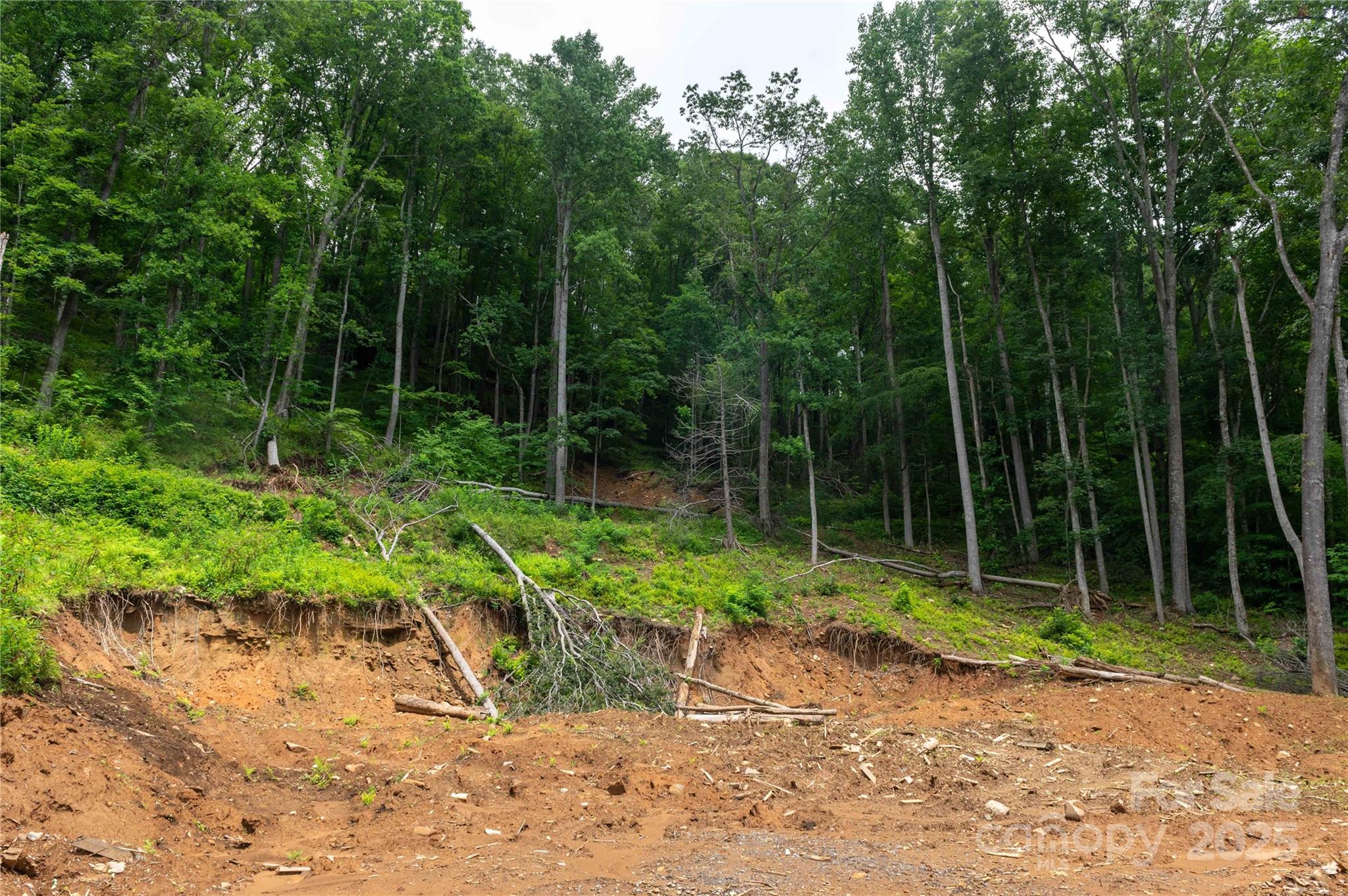 44 Deer Trail Drive Burnsville NC 28714