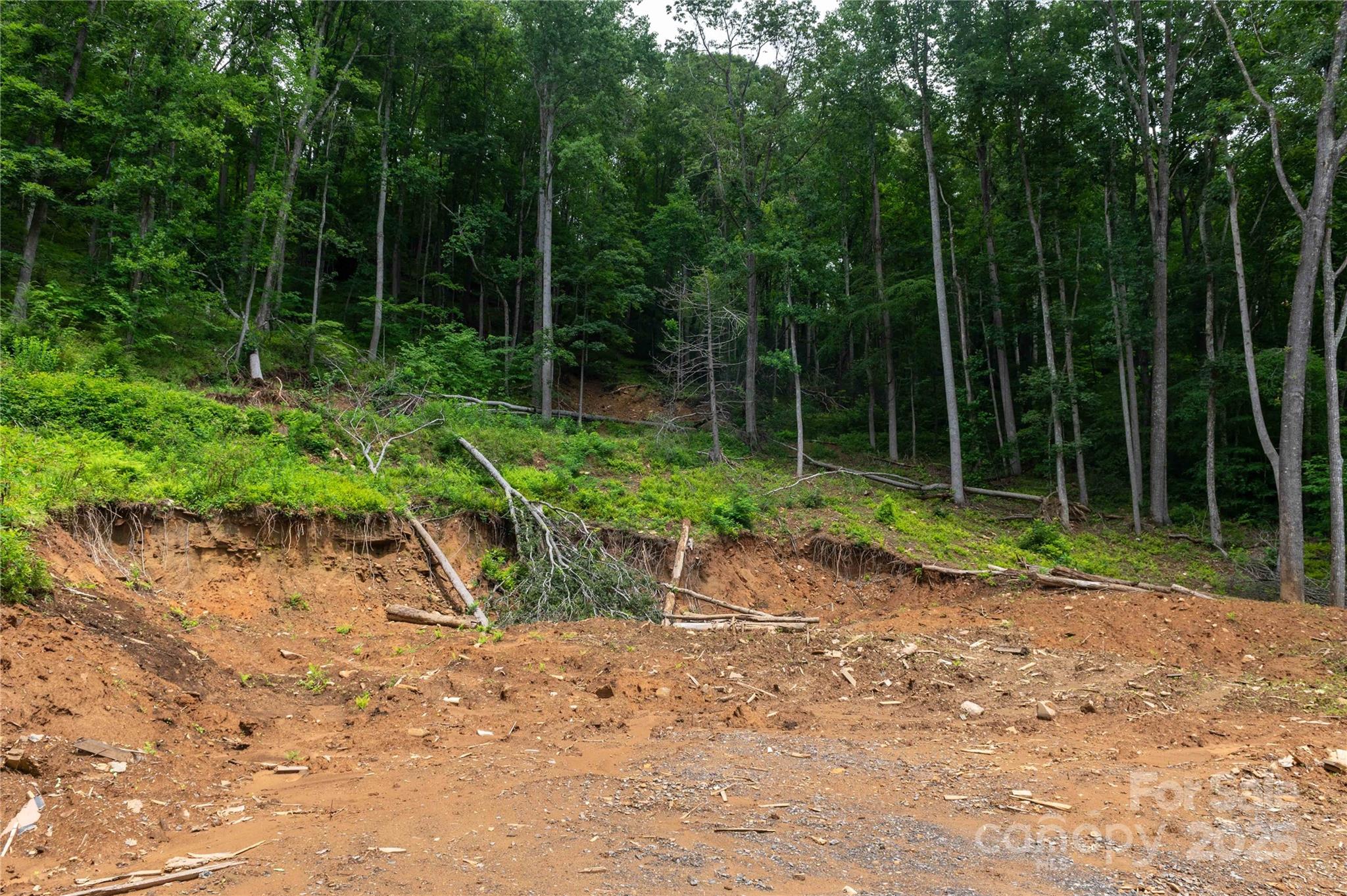 44 Deer Trail Drive Burnsville NC 28714