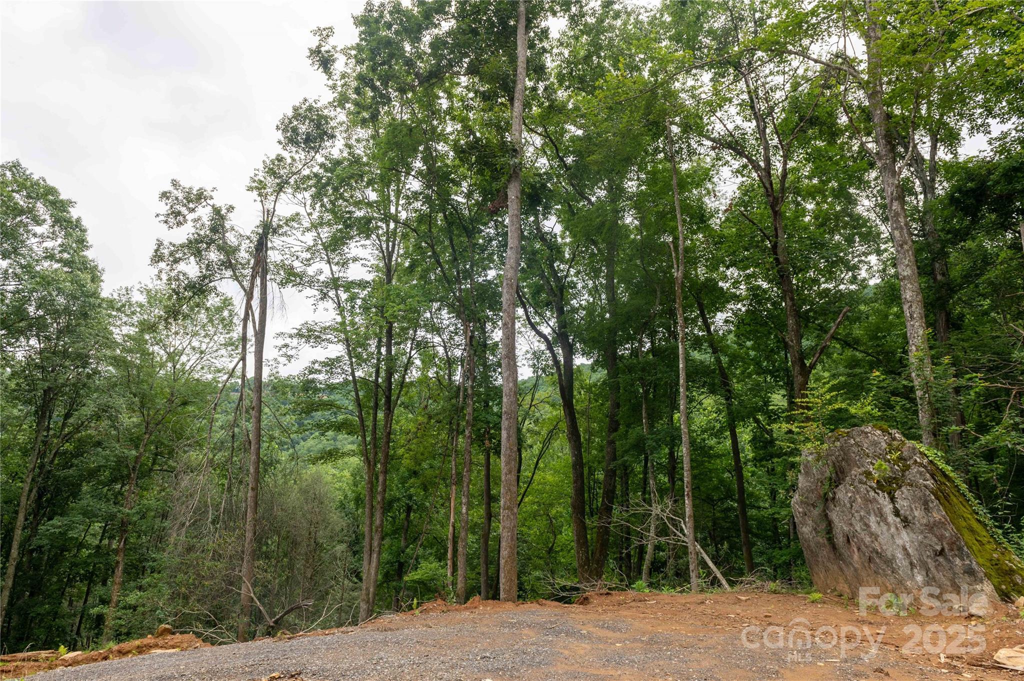 44 Deer Trail Drive Burnsville NC 28714