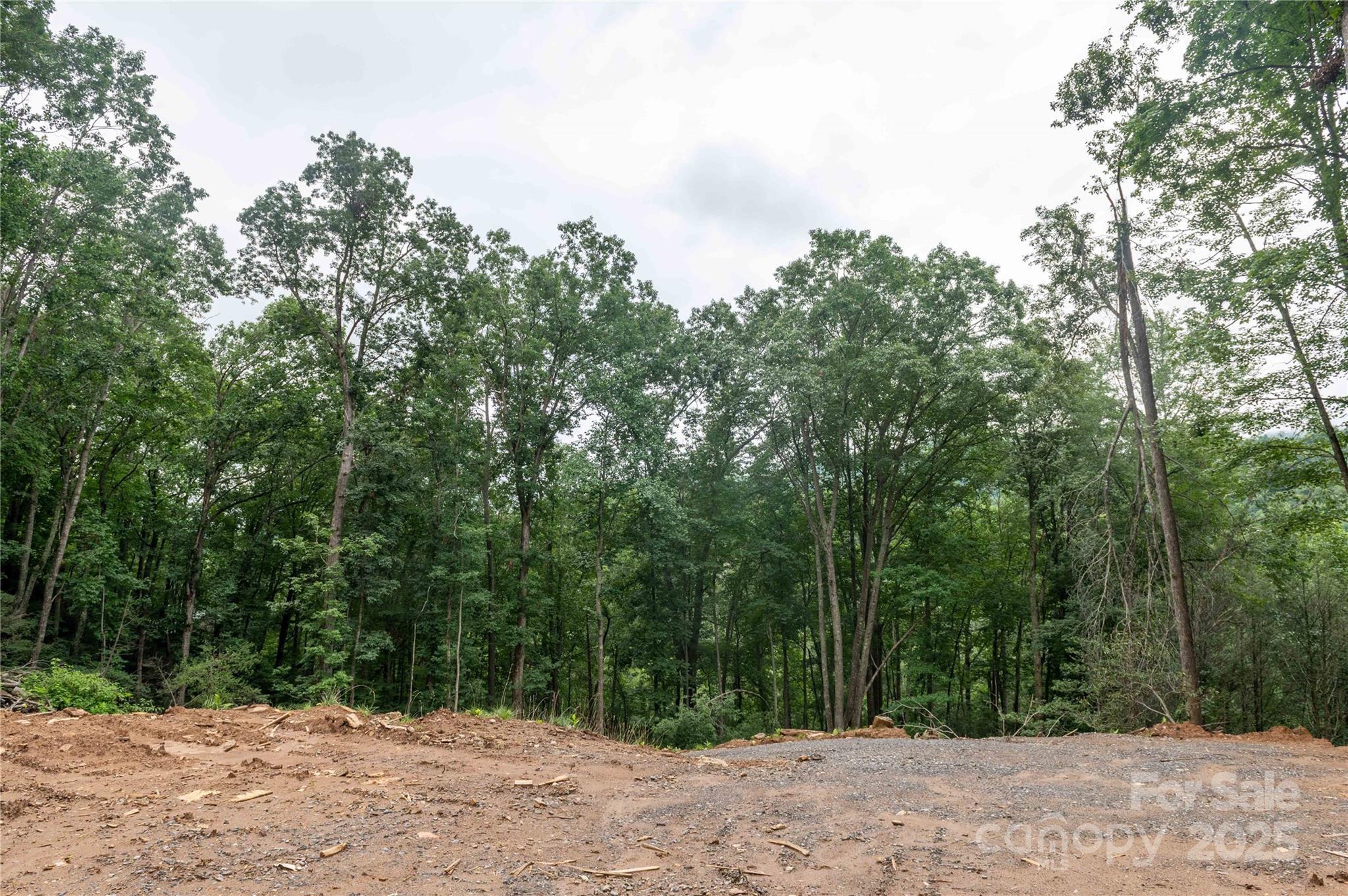 44 Deer Trail Drive Burnsville NC 28714