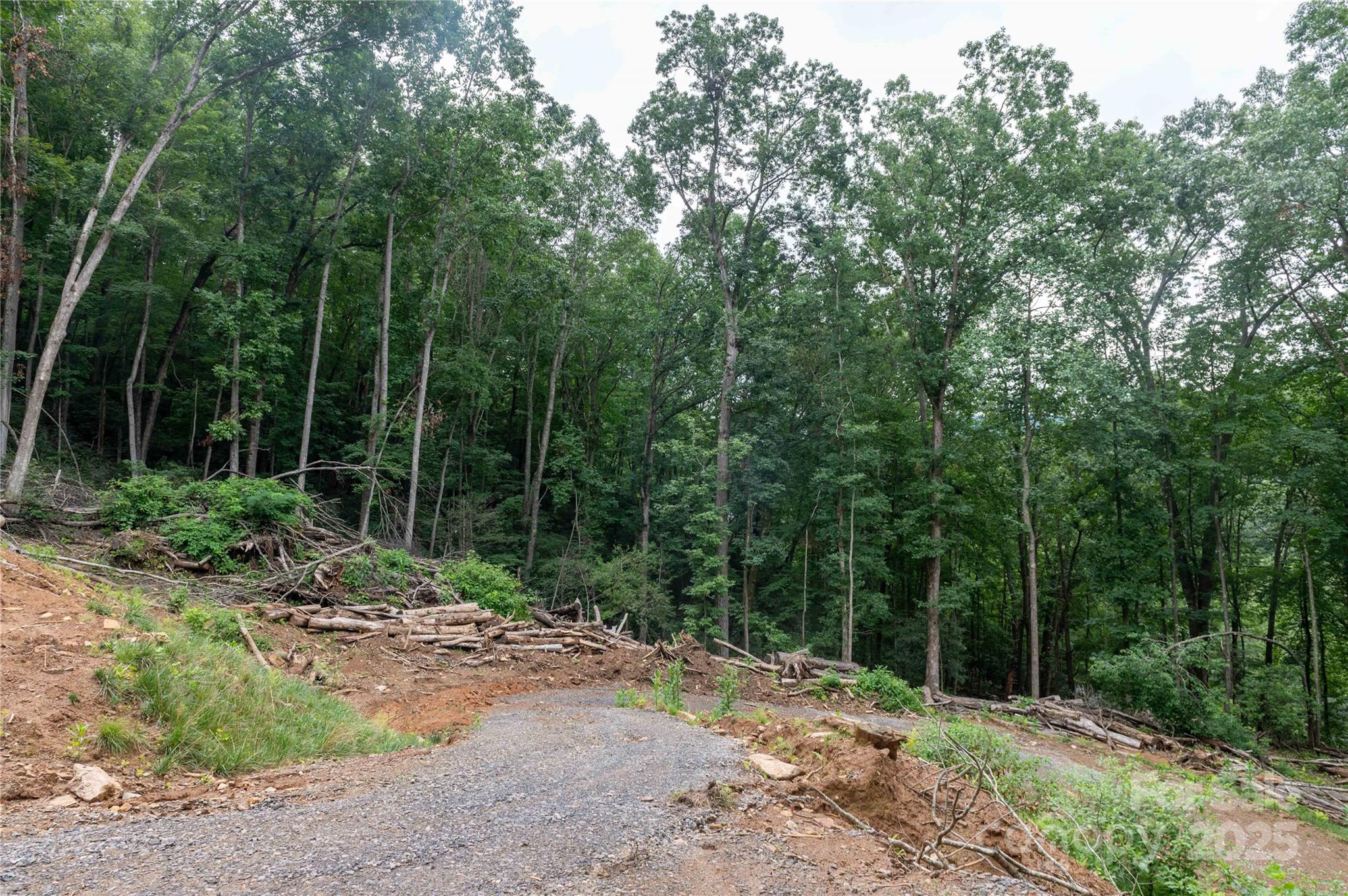44 Deer Trail Drive Burnsville NC 28714
