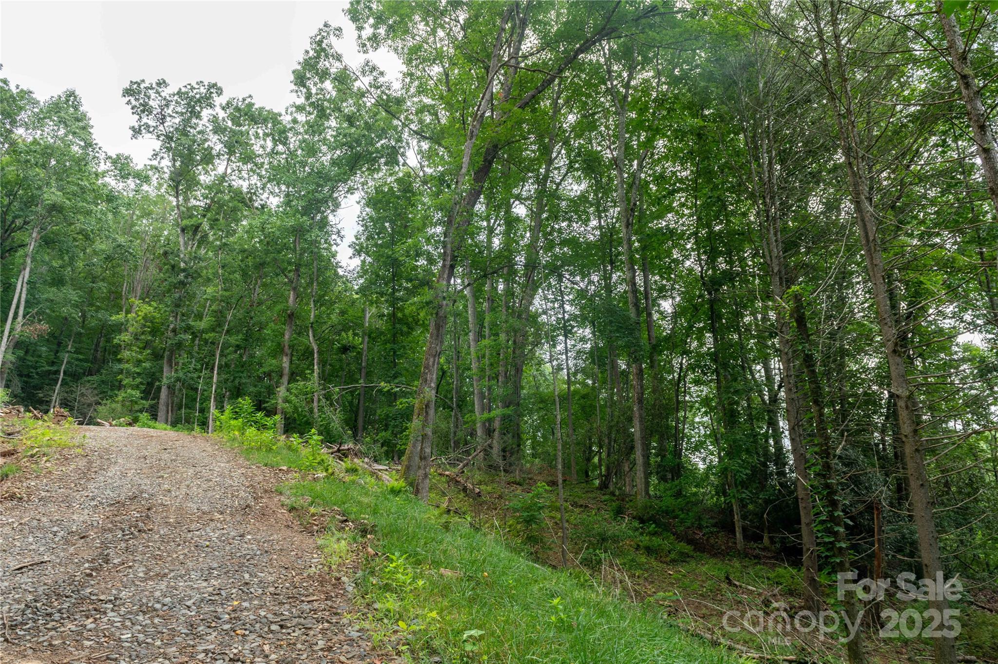44 Deer Trail Drive Burnsville NC 28714