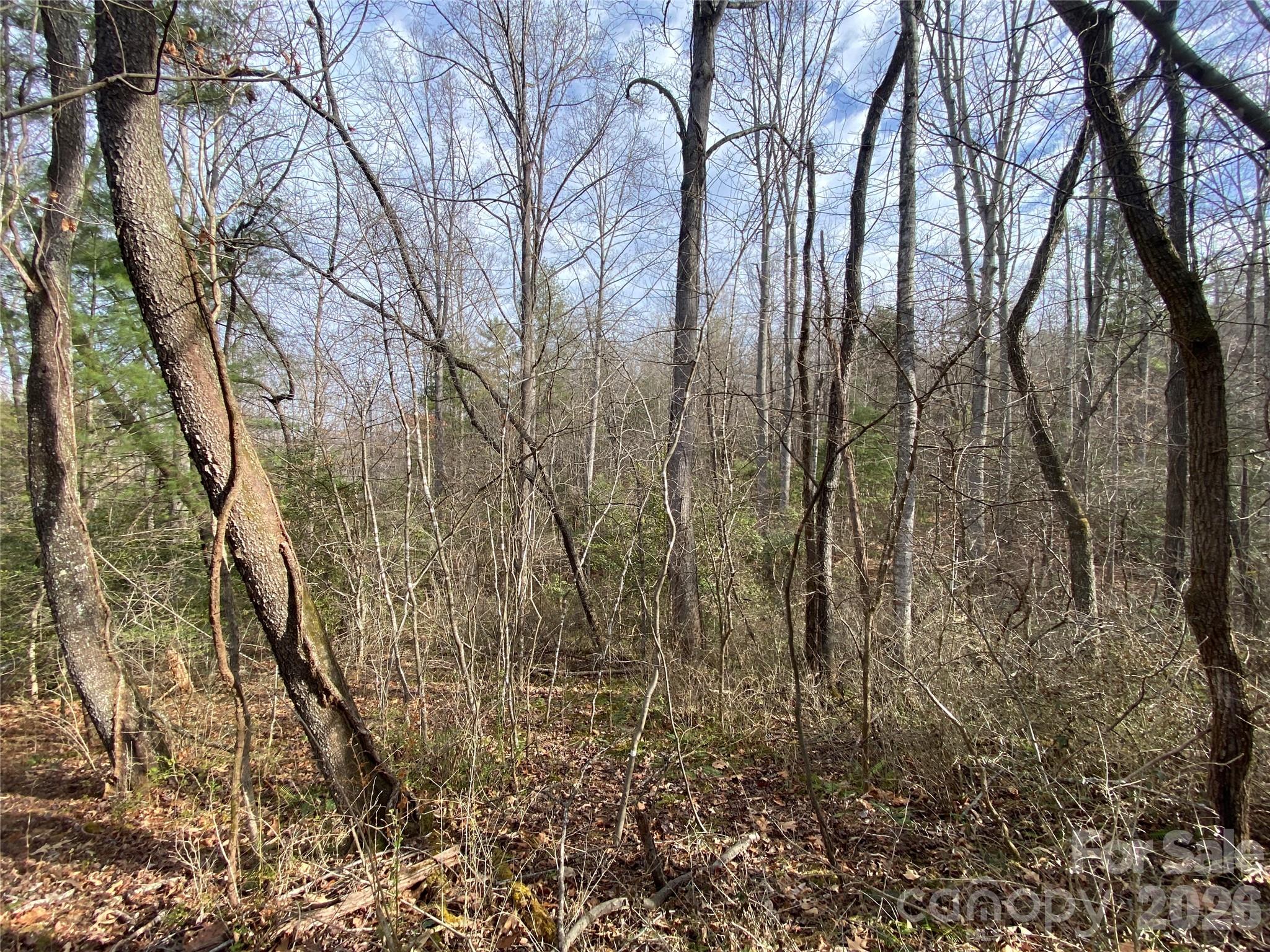 99999 Willow Creek Drive Asheville NC 28803