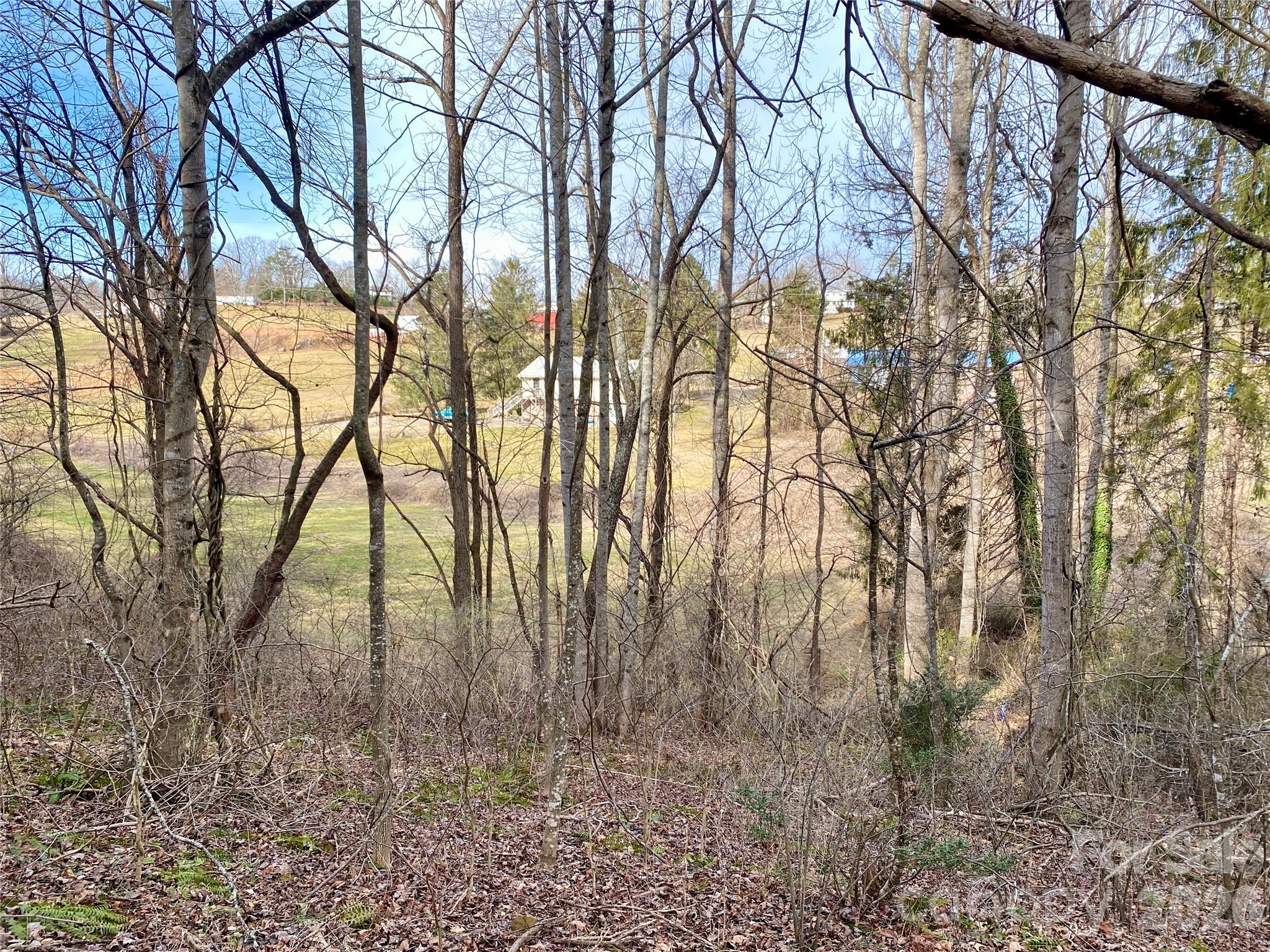 99999 Willow Creek Drive Asheville NC 28803