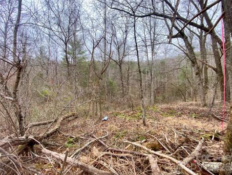 99999 Willow Creek Drive Asheville NC 28803