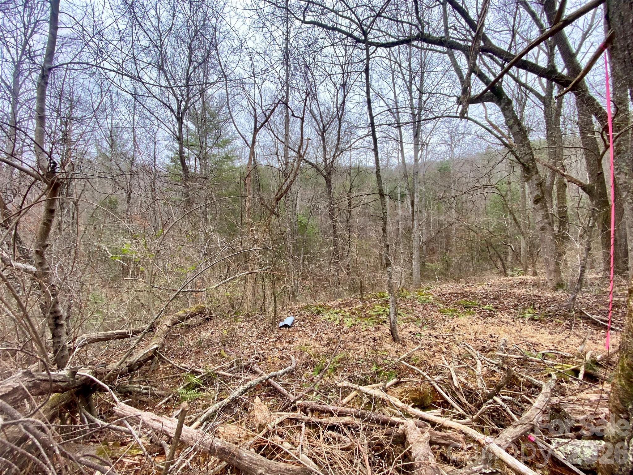99999 Willow Creek Drive Asheville NC 28803