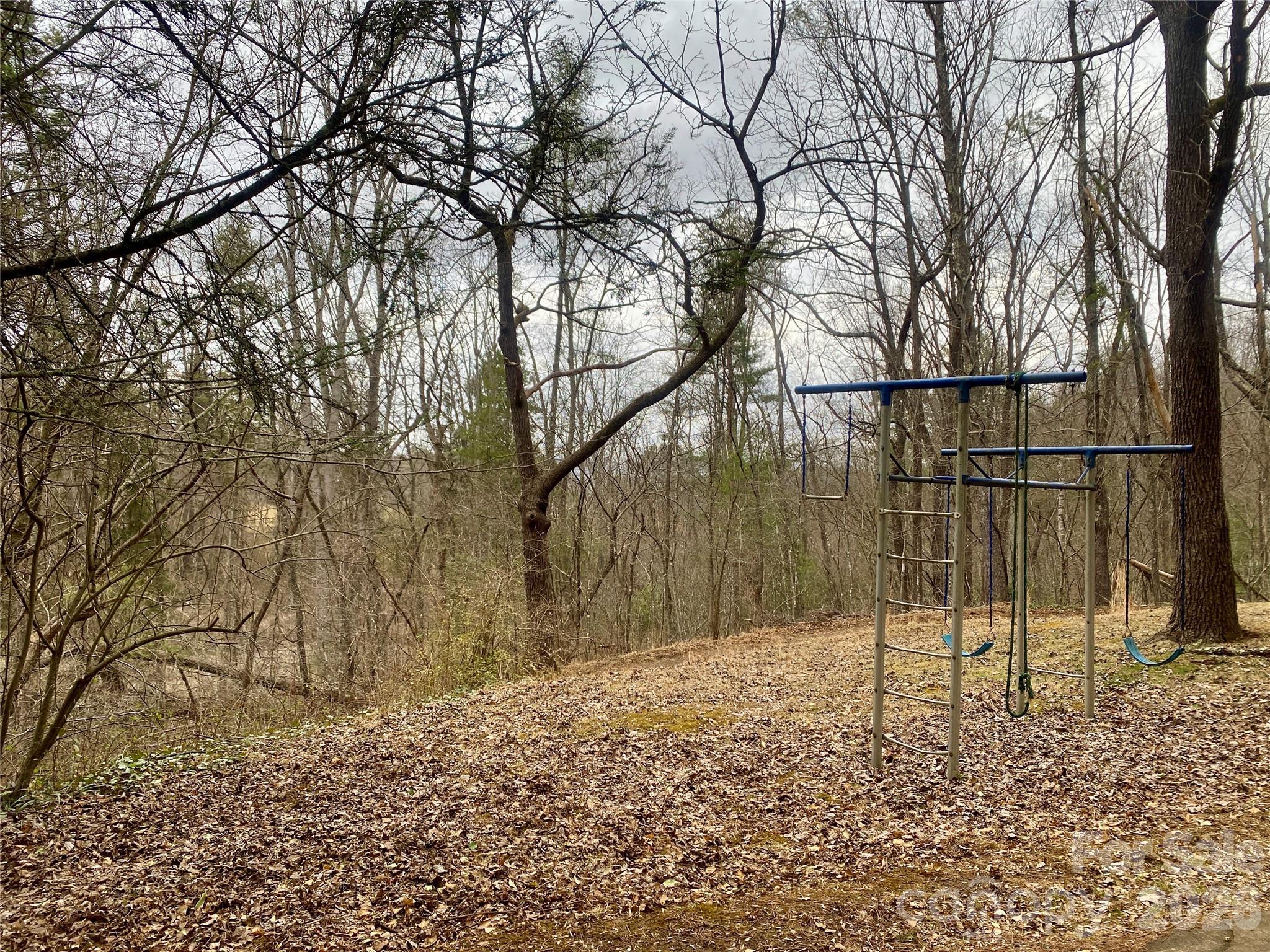 99999 Willow Creek Drive Asheville NC 28803