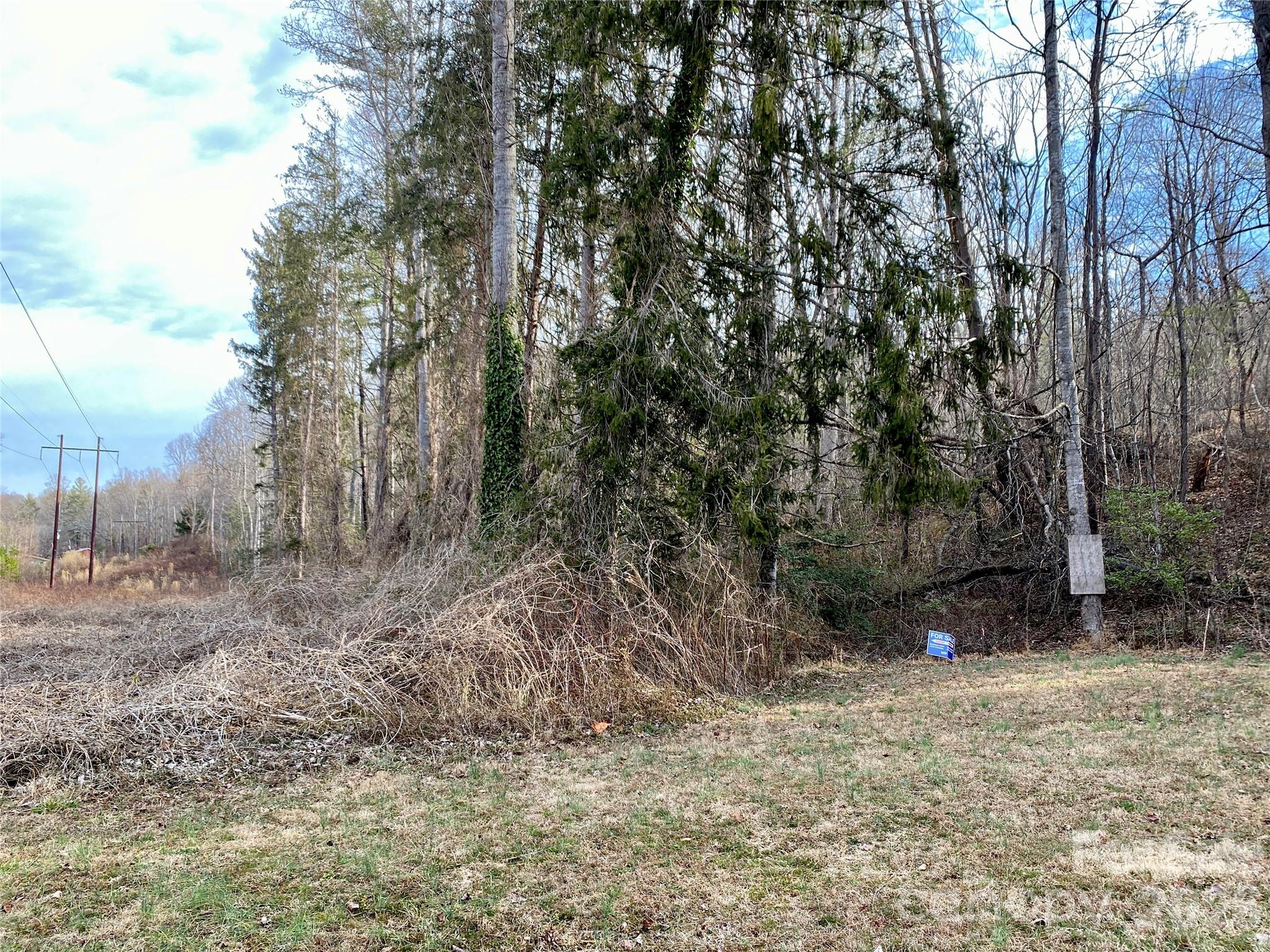 99999 Willow Creek Drive Asheville NC 28803