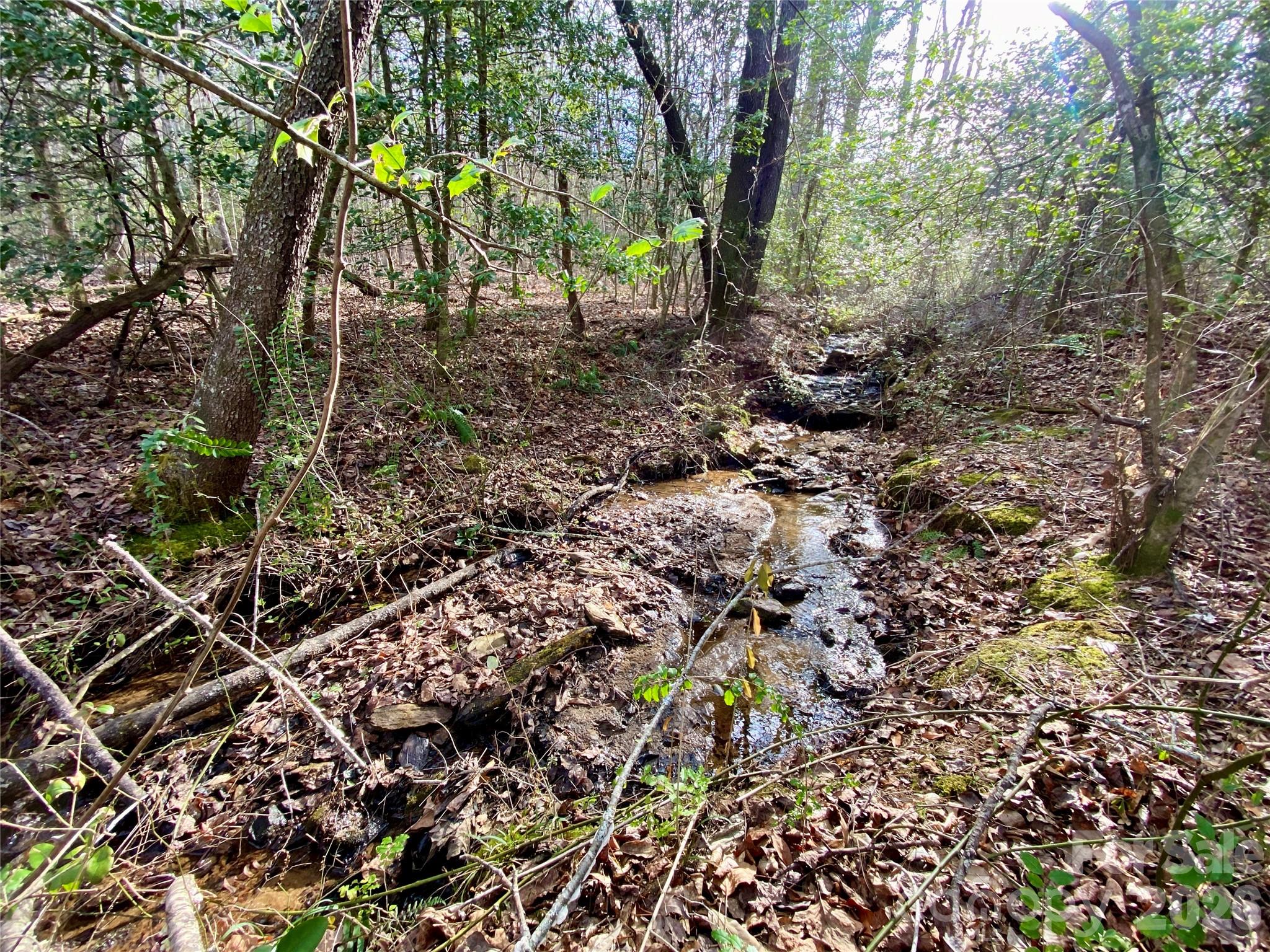 99999 Willow Creek Drive Asheville NC 28803