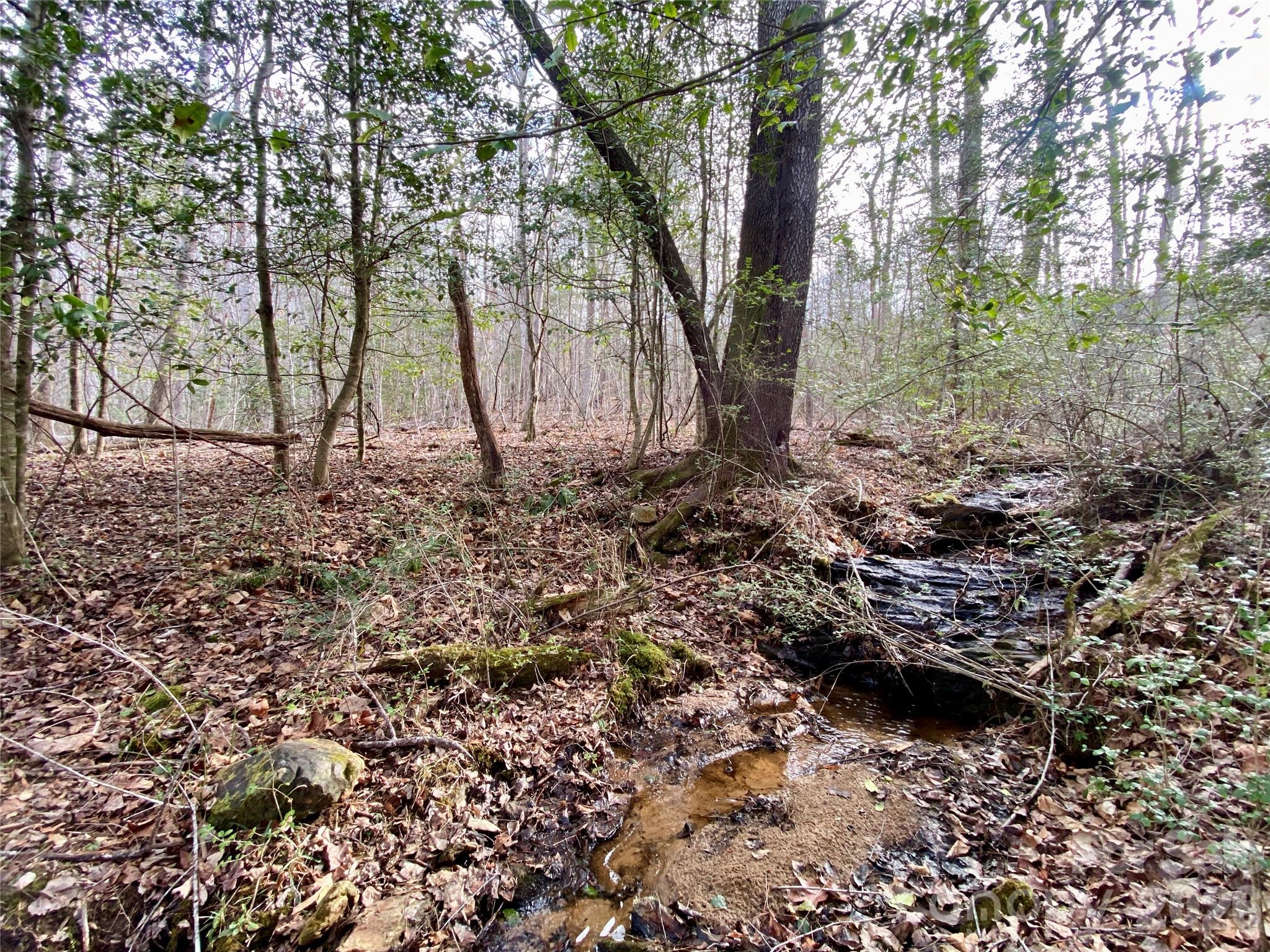 99999 Willow Creek Drive Asheville NC 28803