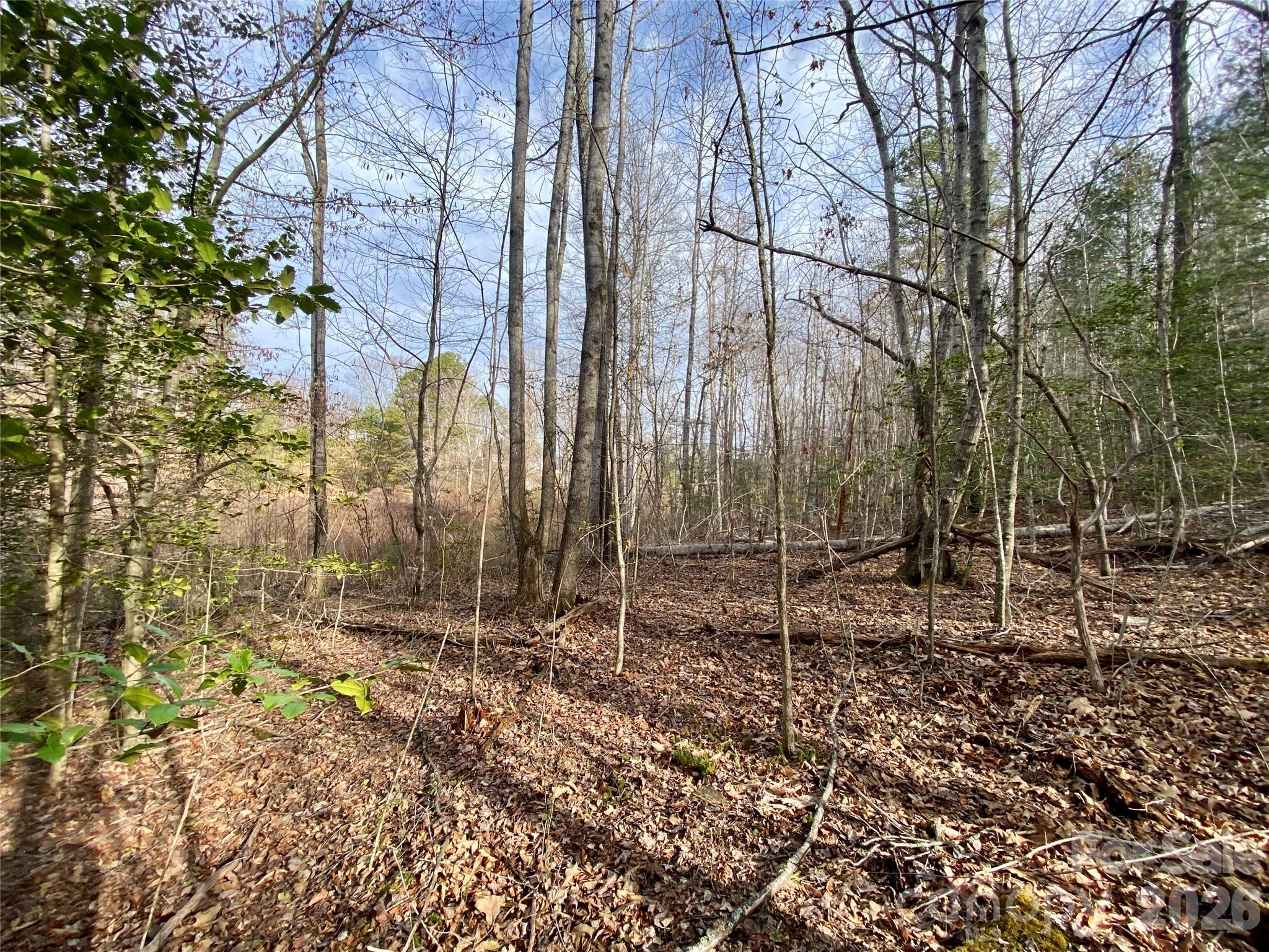 99999 Willow Creek Drive Asheville NC 28803