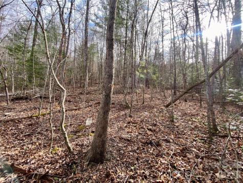 99999 Willow Creek Drive Asheville NC 28803