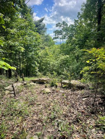 Lot 15 Dogwood Road Moravian Falls NC 28654