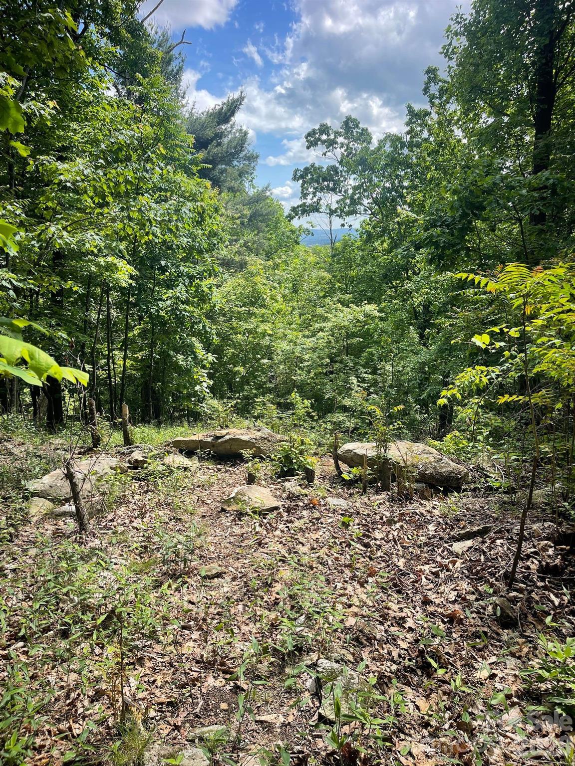 Lot 15 Dogwood Road Moravian Falls NC 28654