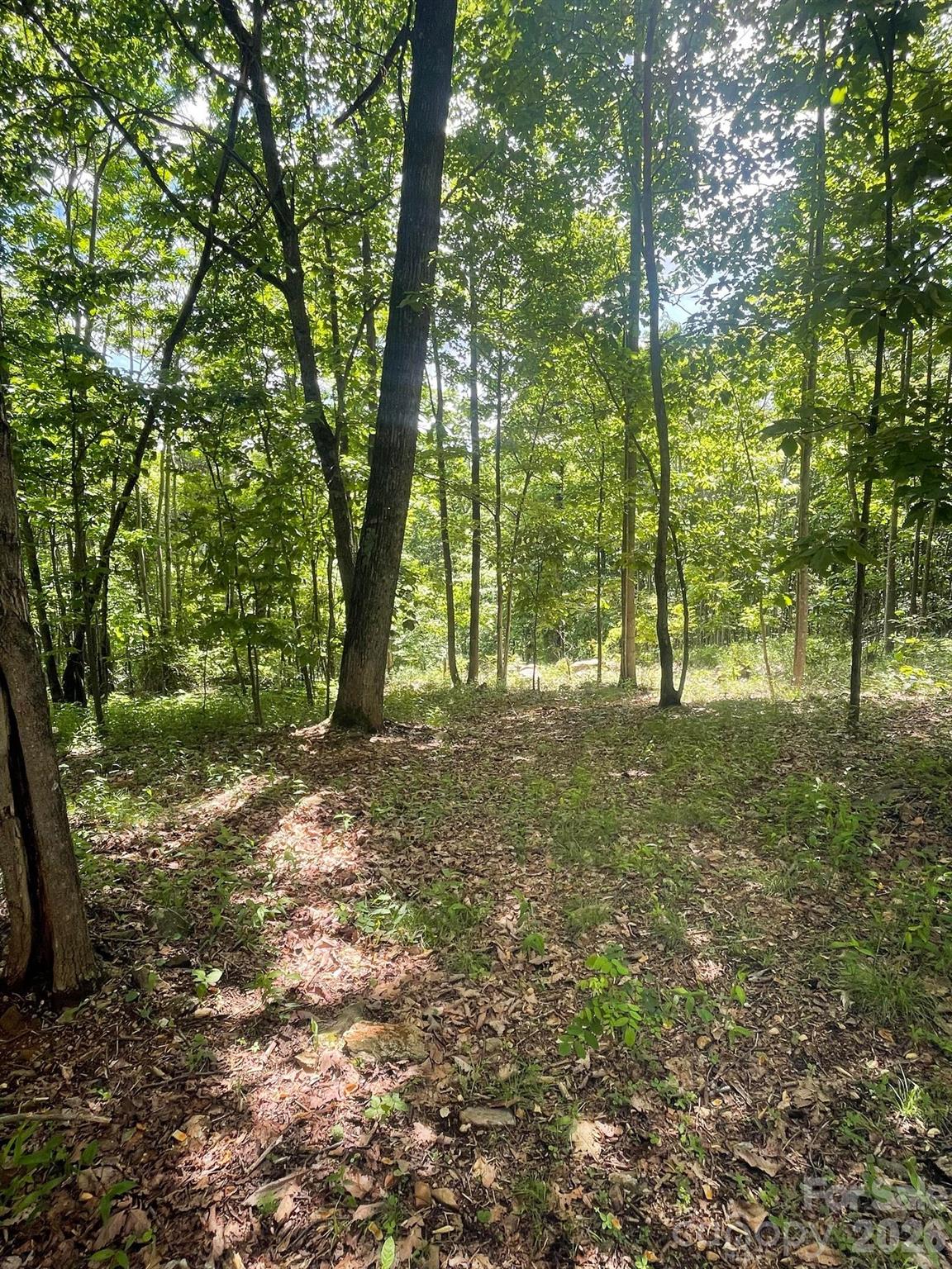 Lot 15 Dogwood Road Moravian Falls NC 28654