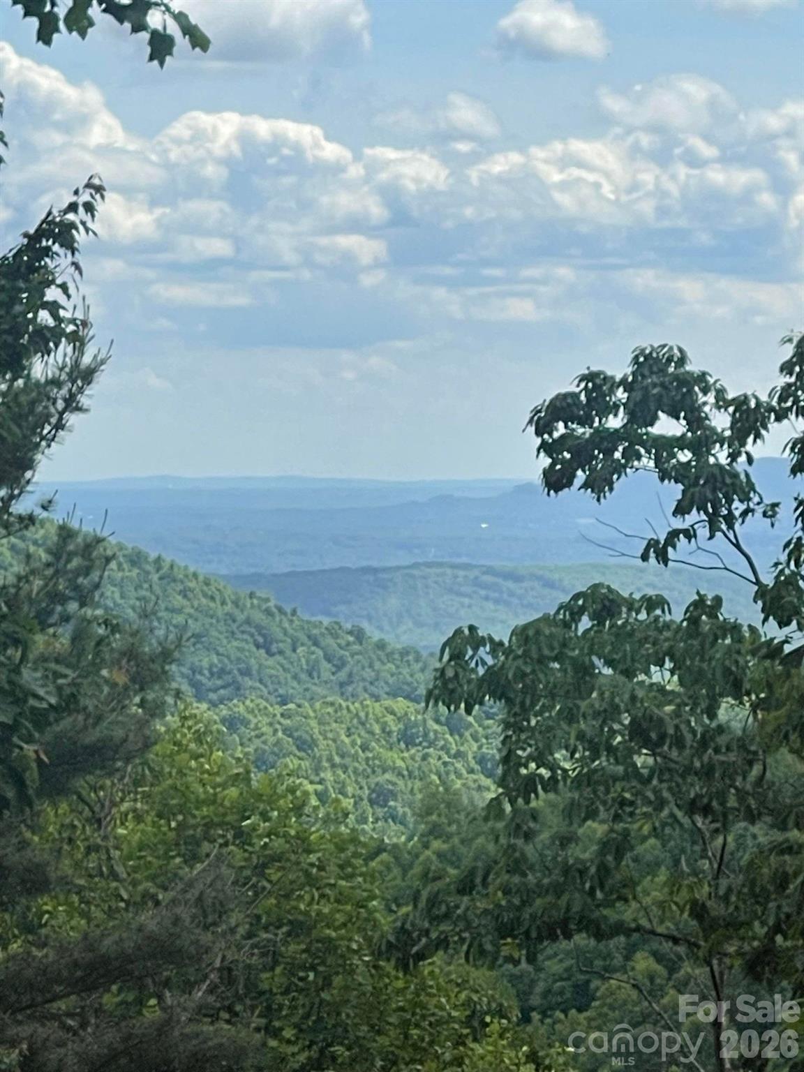 Lot 15 Dogwood Road Moravian Falls NC 28654